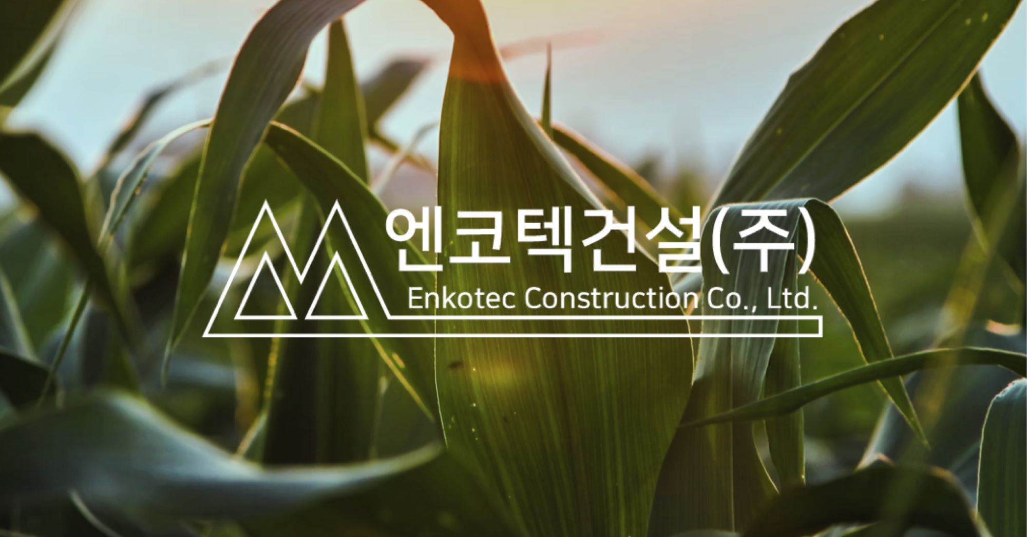 엔코텍건설 홈페이지 슬라이드 — 초록 작물밭 위에 얹은 로고, 환경·생명을 연상시키는 브랜드 비주얼