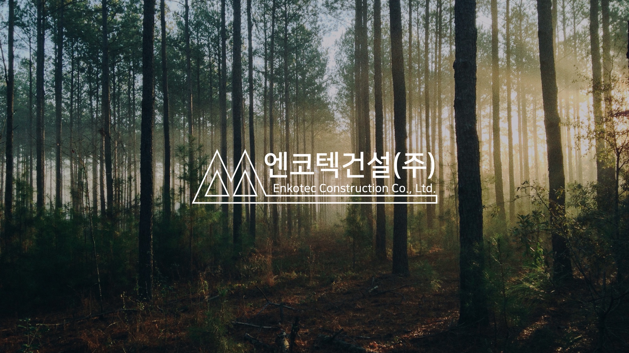 엔코텍건설 홈페이지 메인 — 햇살 든 소나무 숲 위에 얹은 엔코텍건설 로고, 친환경을 직접 느끼게 하는 자연 비주얼